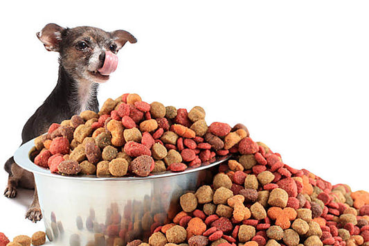 Can Pets Eat Freeze Dried Strawberries - A Flavorful Investigation