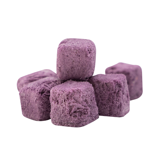 1 lb Freeze-Dried Yogurt Bites (Blueberry) – Made with Real Canadian Yogurt – No Sugar Added, 100% Natural