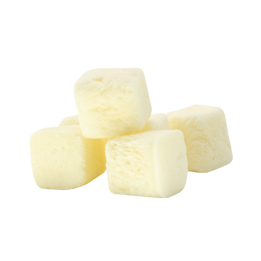 1 lb Freeze-Dried Yogurt Bites (Plain) – Made with Real Canadian Yogurt – No Sugar Added, 100% Natural