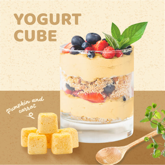 1 lb Freeze-Dried Yogurt Bites (Pumpkin & Carrot) – Made with Real Canadian Yogurt – No Sugar Added, 100% Natural