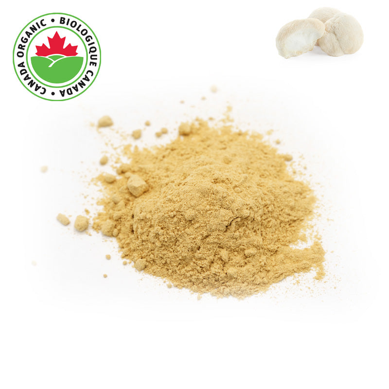 Organic Lion's Mane Mushroom Powder - 1 lb - Brain-boosting Superfood