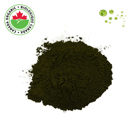Organic Chlorella Powder 1 lb - Green Algae Powder