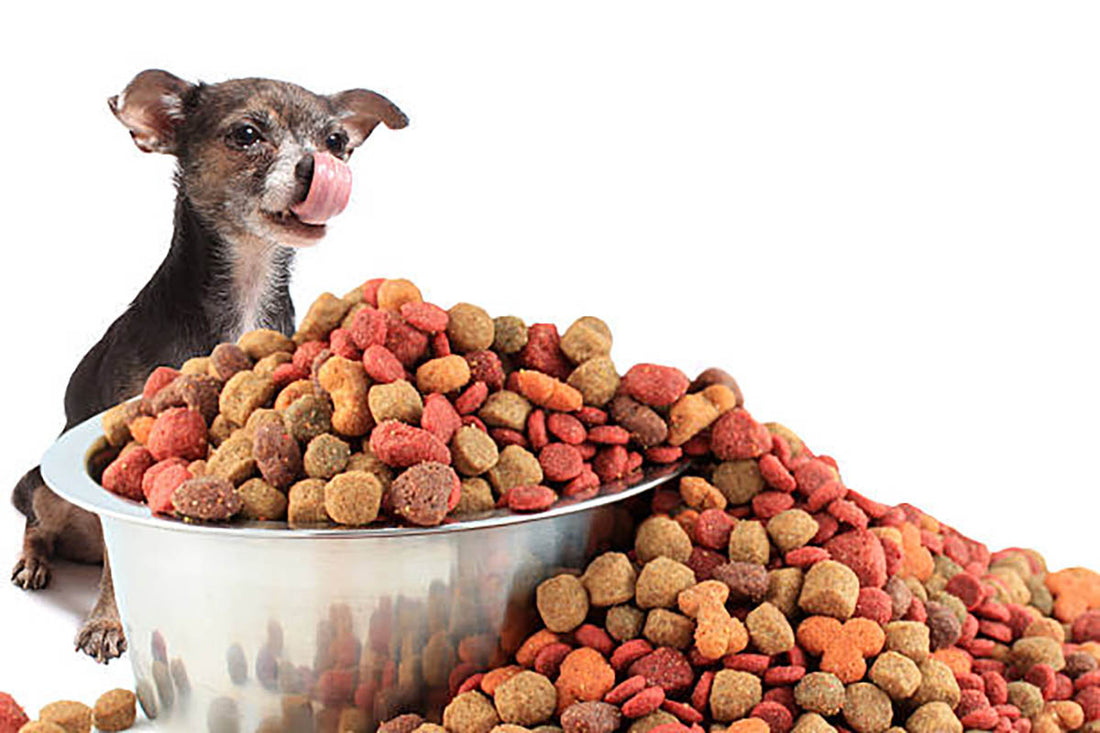 Can Pets Eat Freeze Dried Strawberries - A Flavorful Investigation