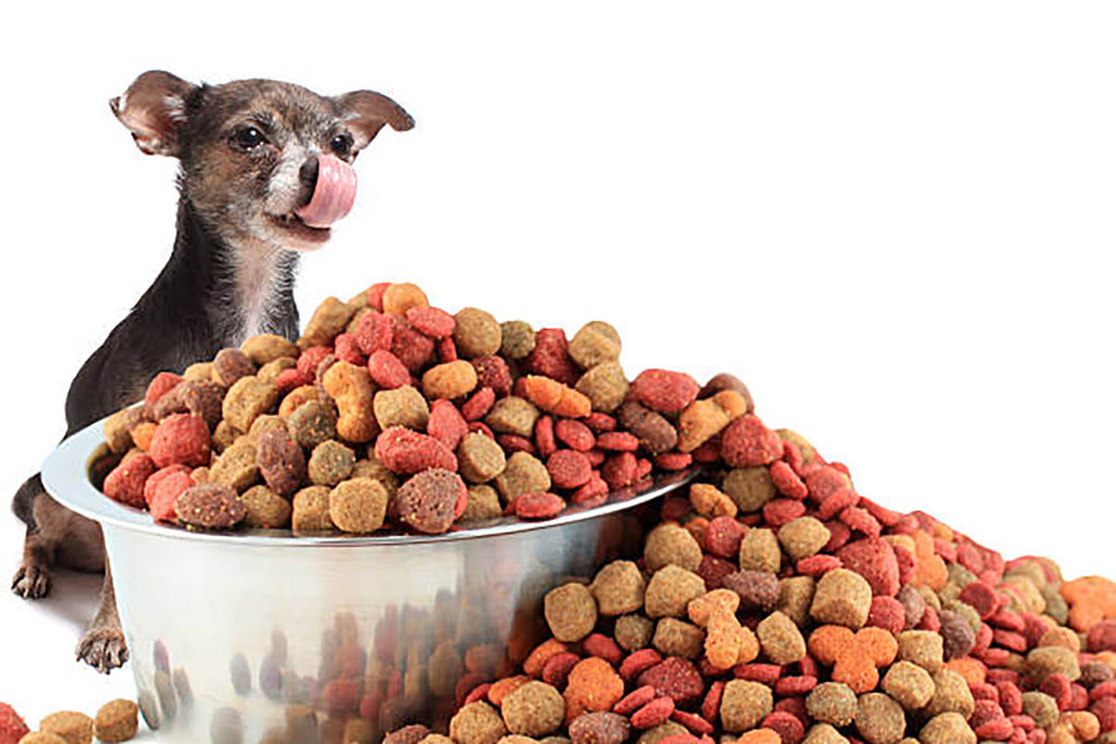 Can Pets Eat Freeze Dried Strawberries? A Flavorful Investigation!