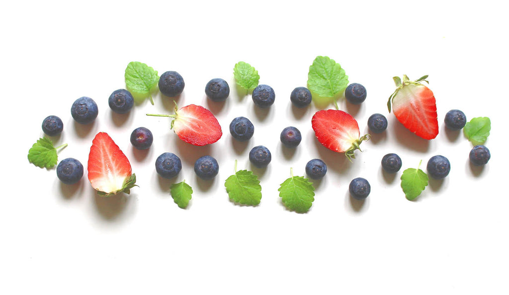 Health Benefits of Freeze-Dried Blueberries: A Game-Changer in the Pet Treat Industry