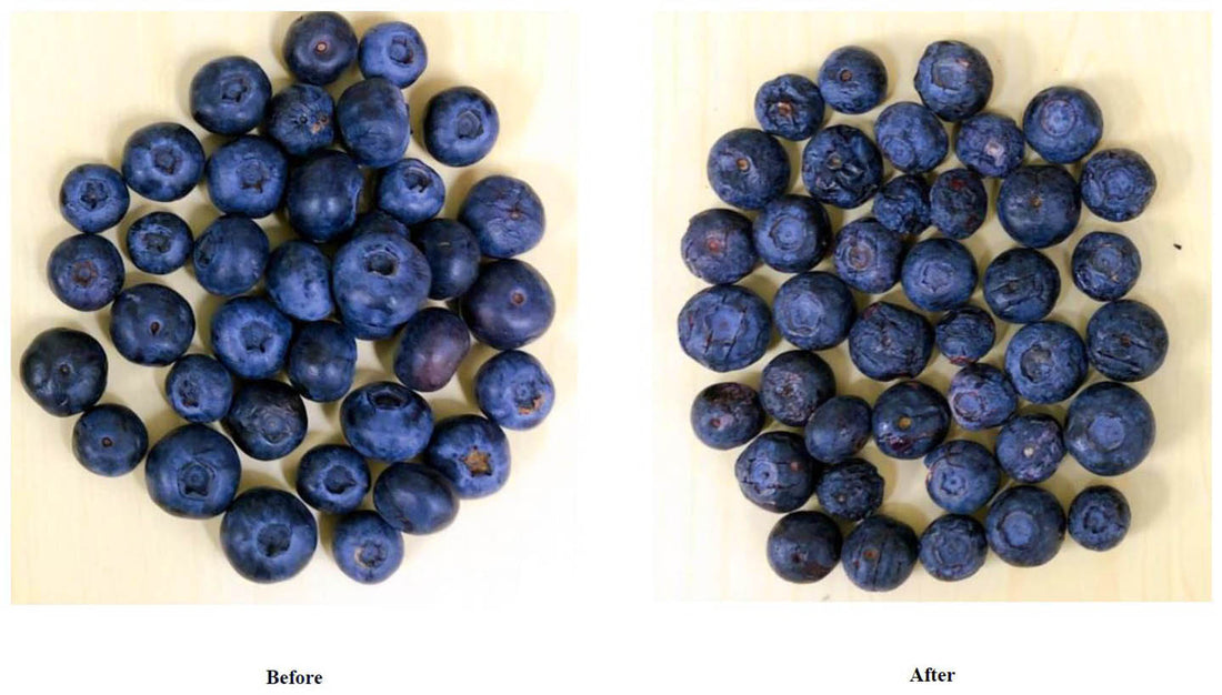 Premium Freeze Dried Blueberries