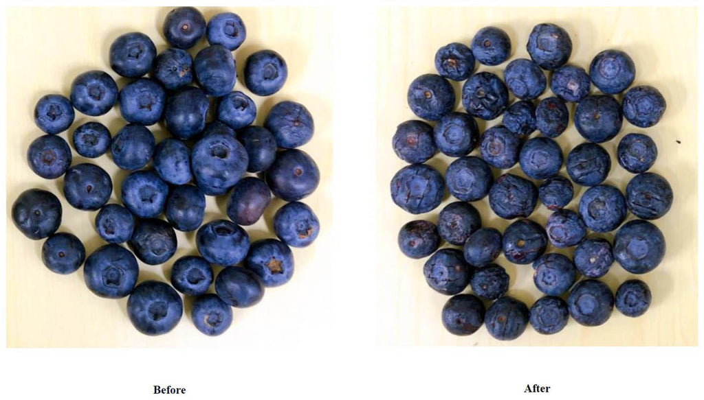Premium Freeze Dried Blueberries: The Secret Ingredient of Gourmet Cooking
