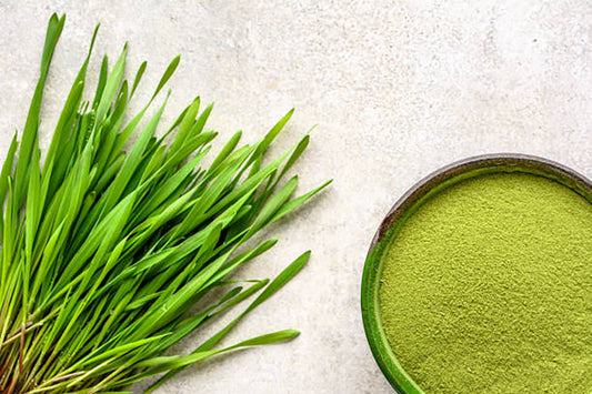 The Green Elixir: Why Freeze Dried Barley Grass Powders Reign Supreme