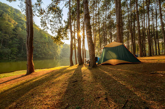 Freeze Dried Banana for Camping and Backpacking Food: A Trailblazer's Guide to Nutritious and Lightweight Sustenance