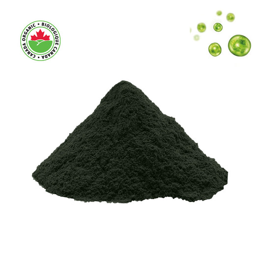 Organic Chlorella Powder, 1 lb - Nutrient-Rich Green Algae Powder