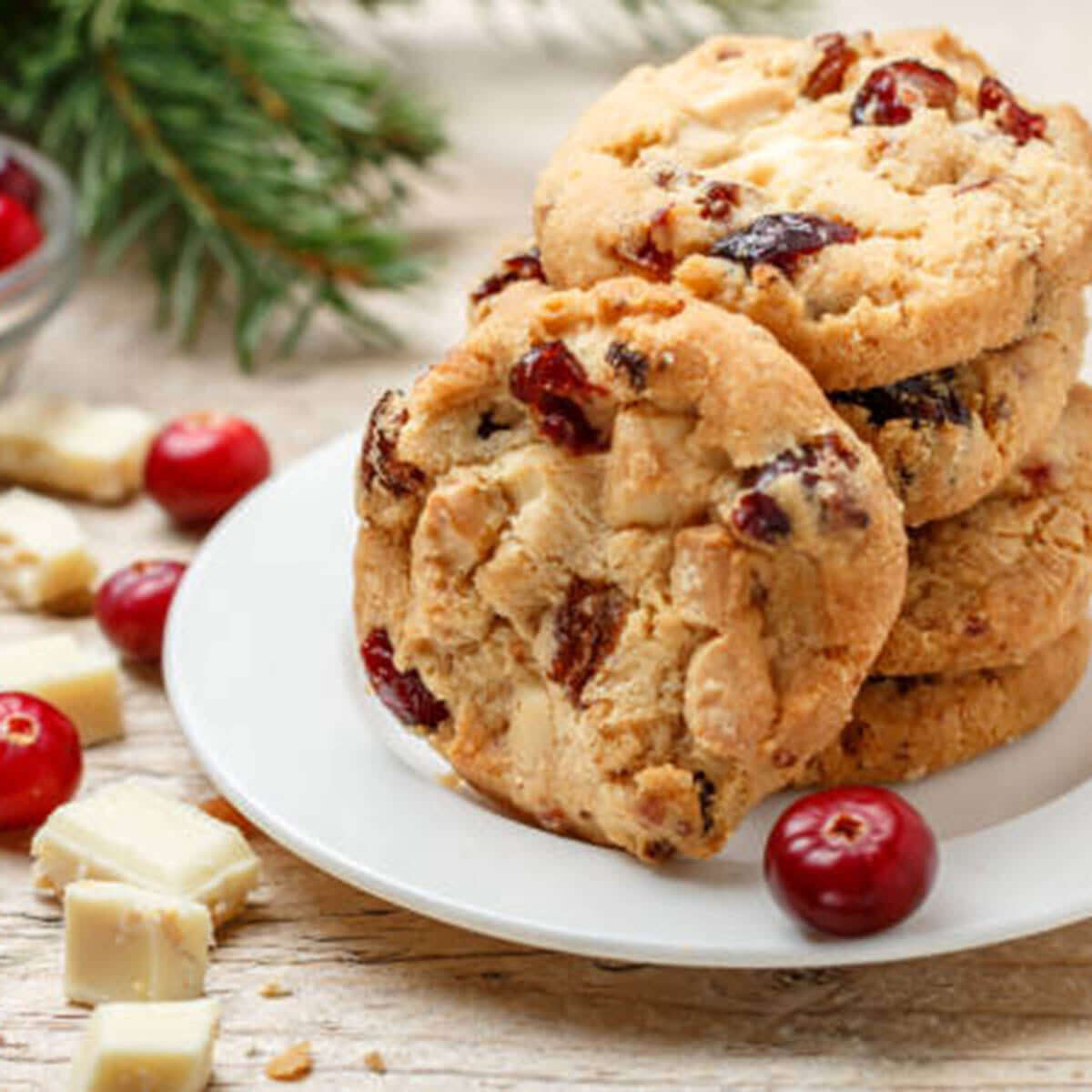 Freeze Dried Cranberry for Cookies