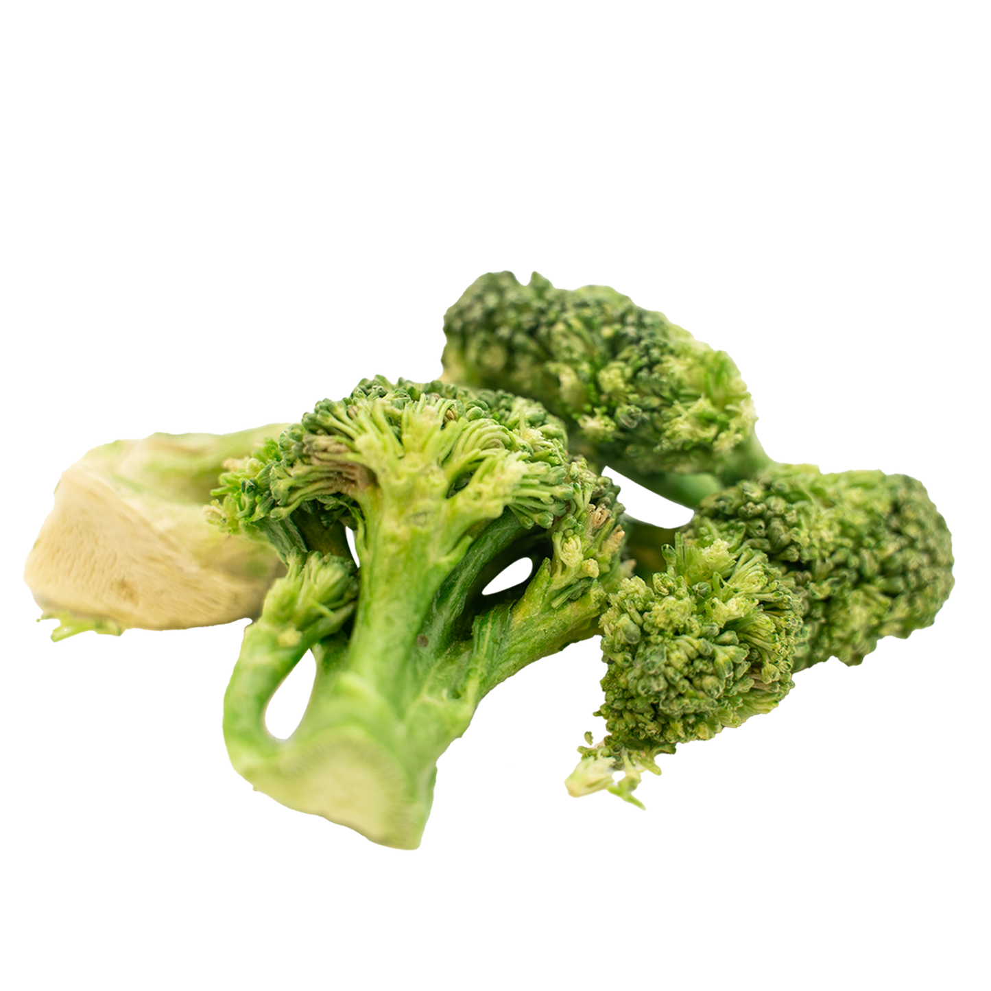 Freeze-Dried Broccoli Bulk - Broccoli Florets - Unflavored - Instant Salad - Cooking Ingredient - Vegetable Crisp