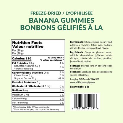 1 lb Freeze-Dried Banana Gummies | Crunchy, Fruity Candy | 1 lb Family Pack | 3-Year Shelf Life