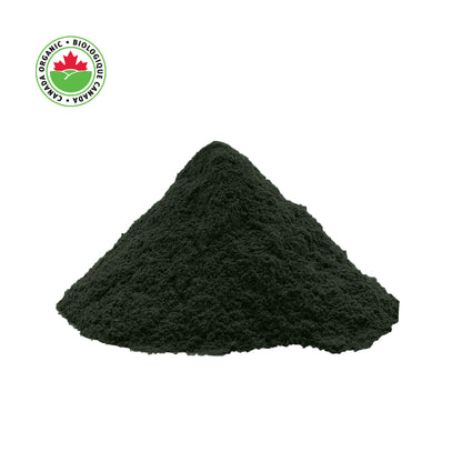 Organic Chlorella Powder, 1 lb - Nutrient-Rich Green Algae Powder