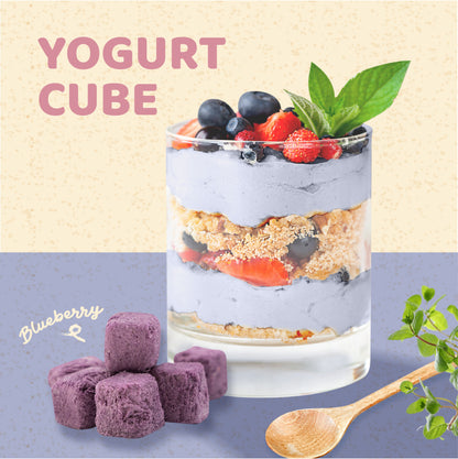 1 lb Freeze-Dried Yogurt Cubes (Blueberry) – Made with Real Canadian Yogurt – No Sugar Added, 100% Natural - Resealable Pouch