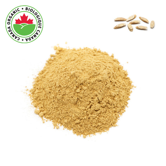 Organic Astragalus Powder 1 lb - Mildly Sweet and Earthy