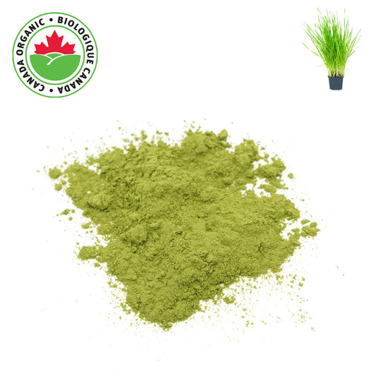 Organic Barley Grass Powder - 1 lb - Mild, Slightly Grassy Taste