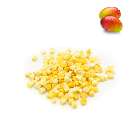 Freeze-Dried Mango Diced Mango Granules Wholesale - Mango Bulk Supply - Fruit Salad, Tropical Cocktail, Mango Salsa