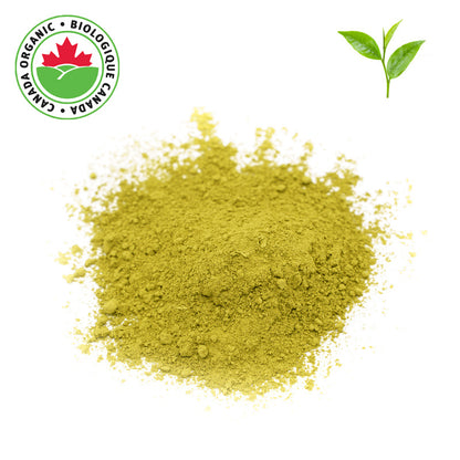 Organic Matcha Powder - 1 lb - Culinary Grade