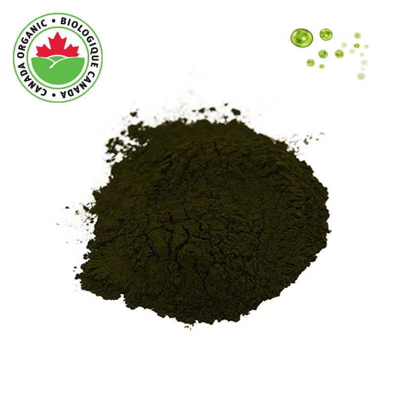 Organic Chlorella Powder 1 lb - Green Algae Powder