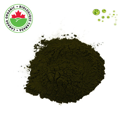 Organic Chlorella Powder 1 lb - Green Algae Powder
