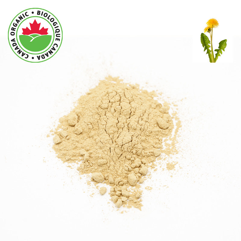 Organic Dandelion Root Powder 1 lb