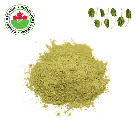 Organic Spinach Powder - 1 lb
