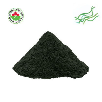 Organic Spirulina Powder, 1 lb