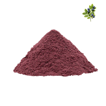 Freeze-Dried Wild Blueberry Powder 10:1 - No Additives - Non-GMO - 40 Mesh